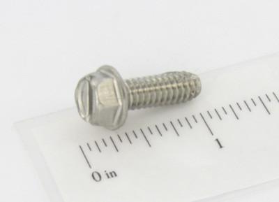 1/4-20NCX3/4 HWH TC SCREW SS